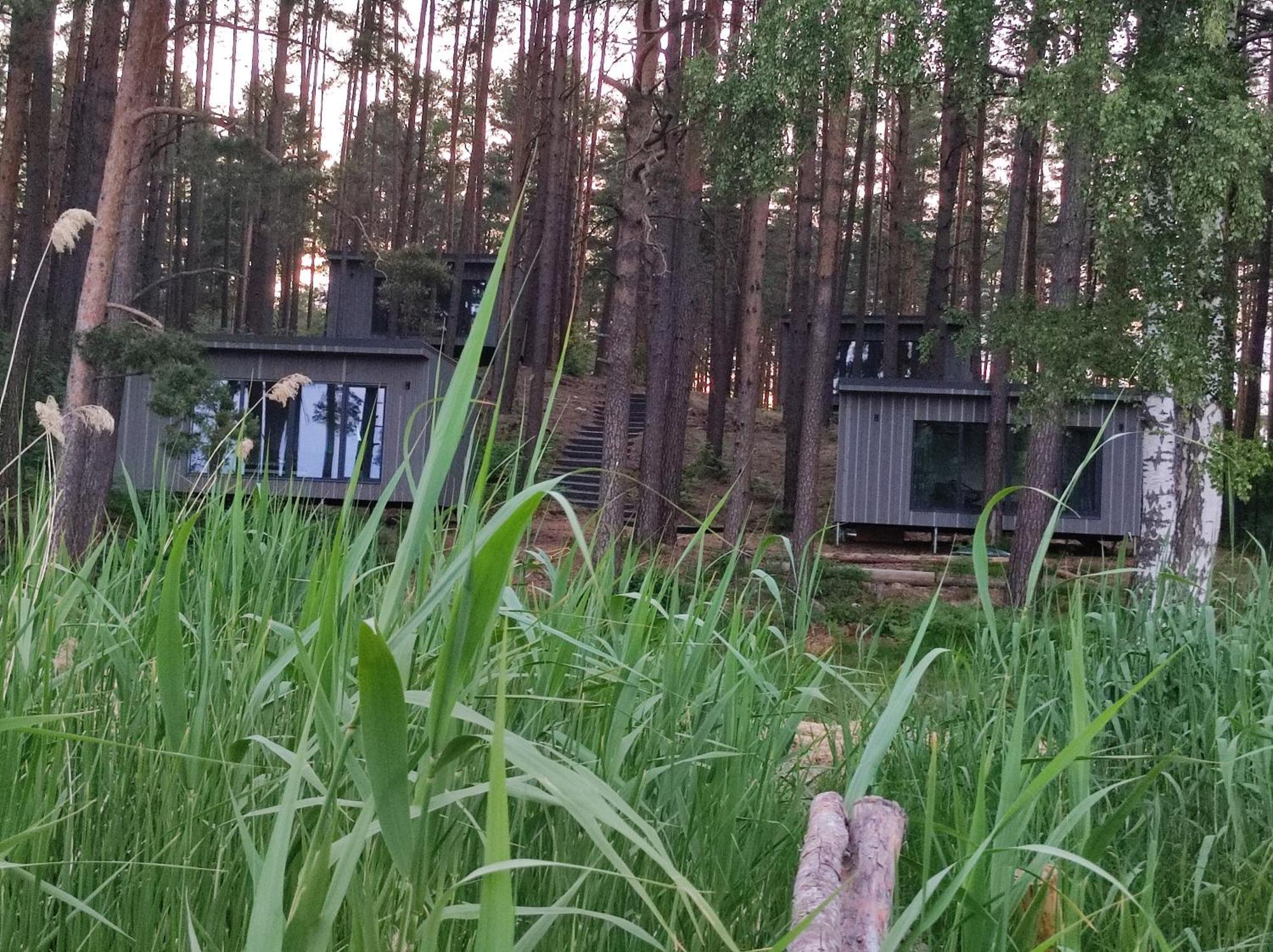 Gaujaclub - Our Bose And Bang&Olufsen Lofts On A Lake Гауя Экстерьер фото