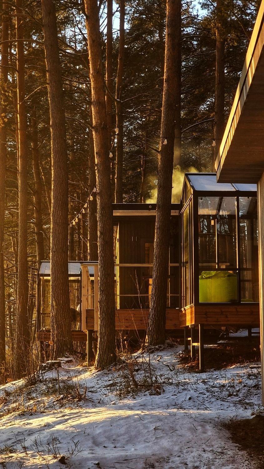 Gaujaclub - Our Bose And Bang&Olufsen Lofts On A Lake Гауя Номер фото